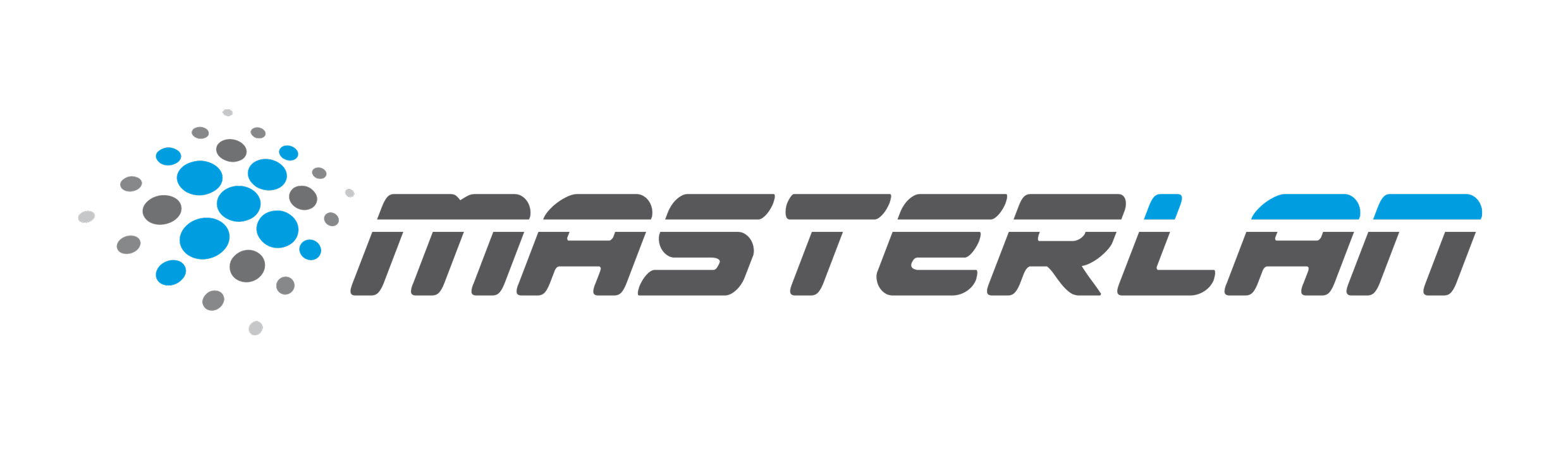 Masterlan color logo