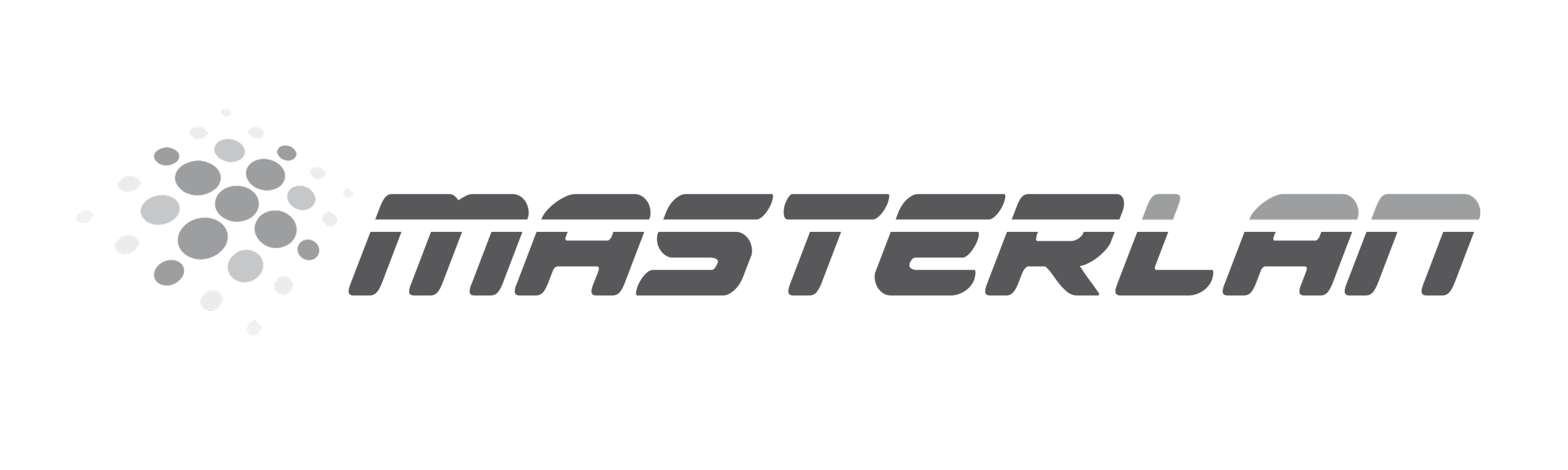 Masterlan gray logo